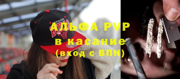 винт Вяземский