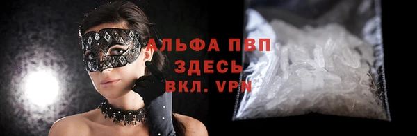 винт Вяземский