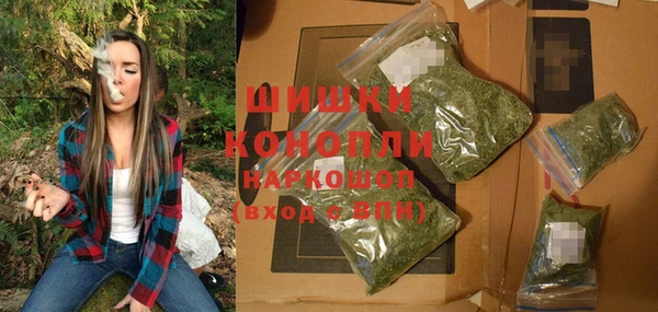 винт Вяземский