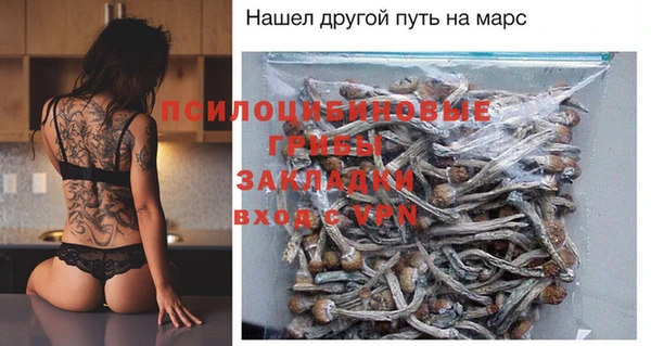 винт Вяземский