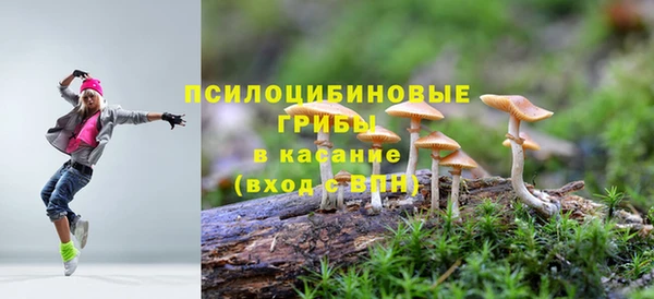 тгк Вязьма