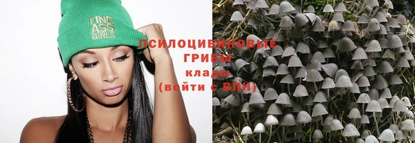 тгк Вязьма