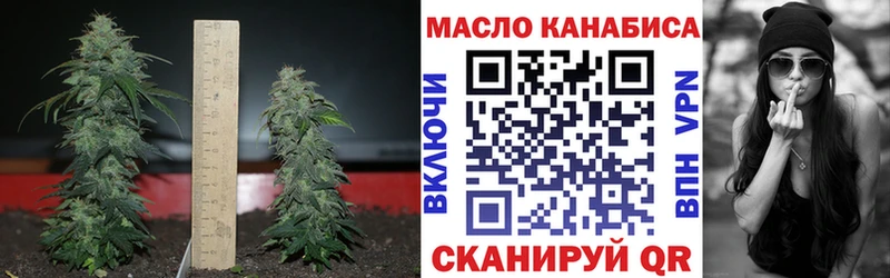 ТГК THC oil  Купить где  Саки 